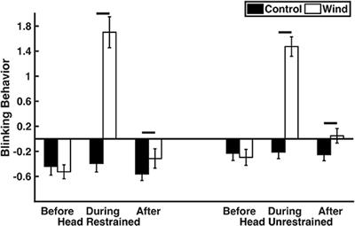 Wind Increases Blinking Behavior in Great-Tailed Grackles (Quiscalus mexicanus)